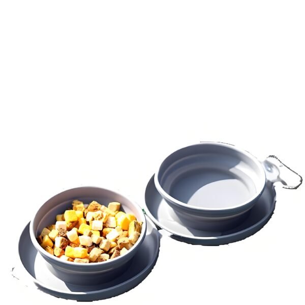Collapsible Double Pet Bowl