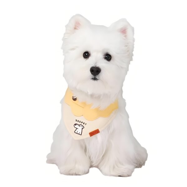Maple Leaf Pet Bandana Collar