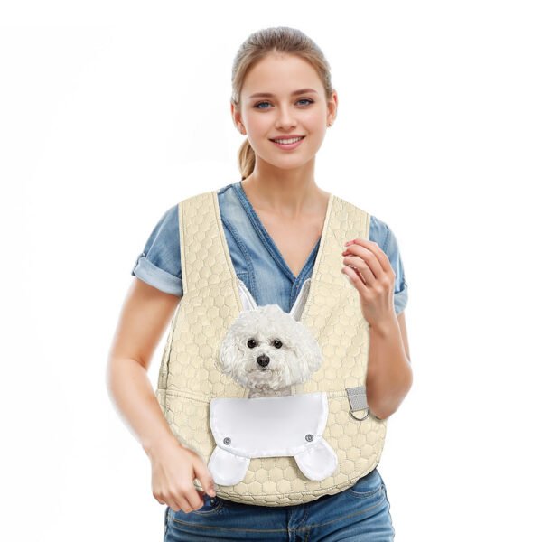 Paw Pet Carrier