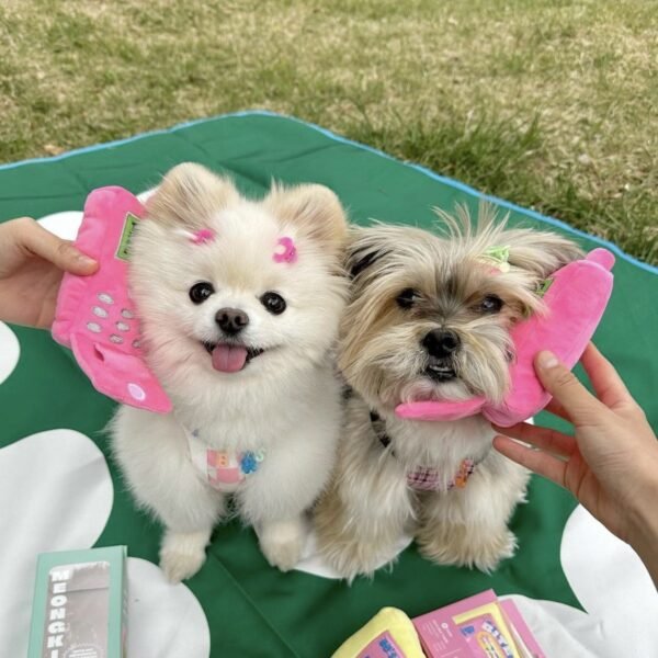 Plush Dog Phone Toy