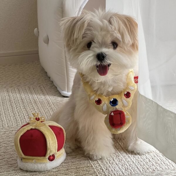 Royal Chew & Squeak Necklace Toy 👑🦴