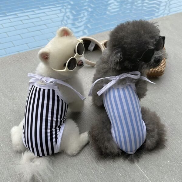 Paw One-Piece Swimsuit