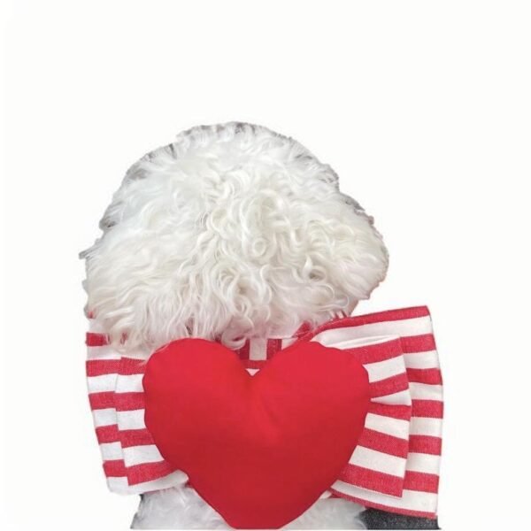 Heart Shape Dog Harness and Leash Set
