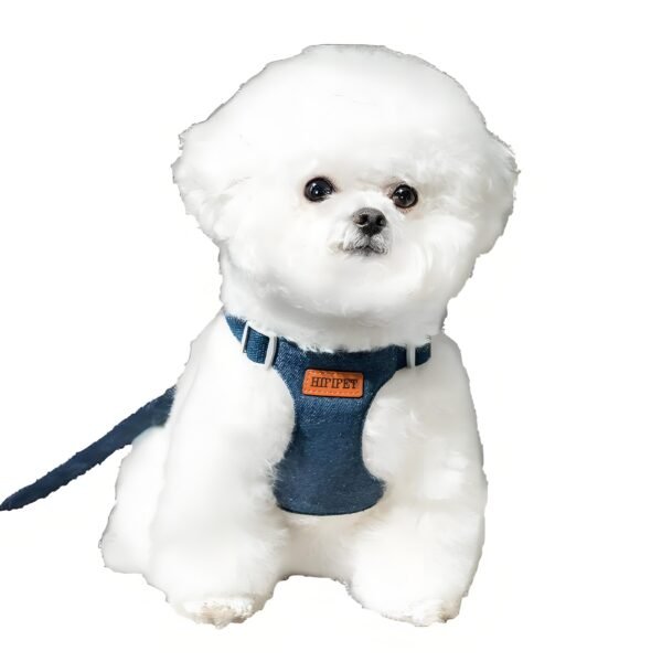 Denim Dog Harness Vest & Leash Set